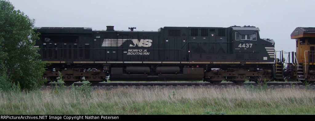 NS 4437